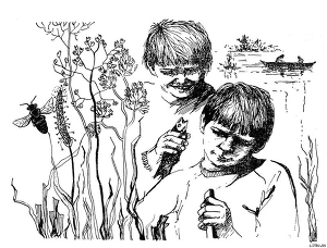 Книга Приключение на реке Лесной