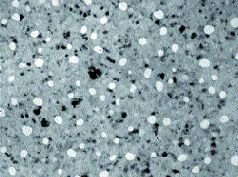 Журнал «Компьютерра» N 8 от 27 февраля 2007 года (Компьютерра - 676) - i_011.jpg