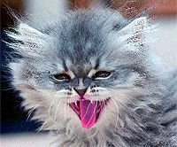 Журнал «Компьютерра» N 8 от 27 февраля 2007 года (Компьютерра - 676) - i_019.jpg