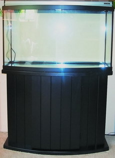 Аквариум в вопросах и ответах - i_020.jpg