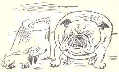 Ухо, дыня, сто двадцать пять! - i_005.jpg