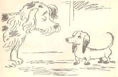 Ухо, дыня, сто двадцать пять! - i_008.jpg