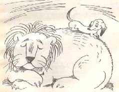 Ухо, дыня, сто двадцать пять! - i_020.jpg