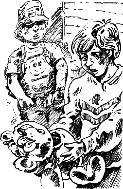 Дело о зеленом саквояже - i_002.png