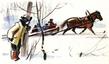 Под тёплым небом - i_011.png