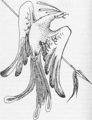 Преступники и преступления. Женщины-убийцы. Воровки. Налетчицы - i_009.jpg