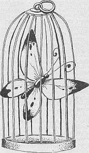 Преступники и преступления. Женщины-убийцы. Воровки. Налетчицы - i_021.jpg