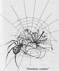 Преступники и преступления. Женщины-убийцы. Воровки. Налетчицы - i_038.jpg