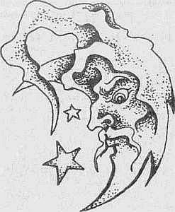 Преступники и преступления. Женщины-убийцы. Воровки. Налетчицы - i_049.jpg