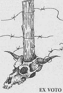 Преступники и преступления. Женщины-убийцы. Воровки. Налетчицы - i_050.jpg