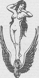 Преступники и преступления. Женщины-убийцы. Воровки. Налетчицы - i_051.jpg