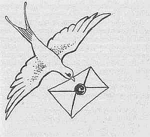 Преступники и преступления. Женщины-убийцы. Воровки. Налетчицы - i_059.jpg