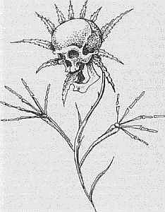 Преступники и преступления. Женщины-убийцы. Воровки. Налетчицы - i_067.jpg