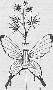 Преступники и преступления. Женщины-убийцы. Воровки. Налетчицы - i_070.jpg