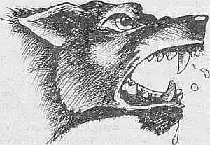 Преступники и преступления. Женщины-убийцы. Воровки. Налетчицы - i_083.jpg