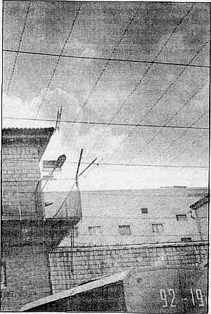 Преступники и преступления. Женщины-убийцы. Воровки. Налетчицы - i_113.jpg