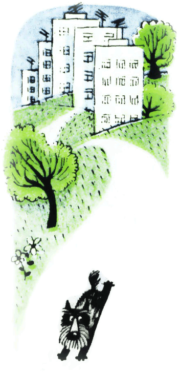 Храбрый Тилли: Записки щенка, написанные хвостом - i_004.png