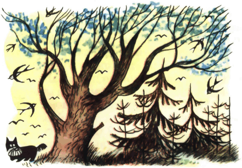 Храбрый Тилли: Записки щенка, написанные хвостом - i_005.png