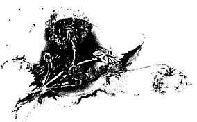 Куда жить - _03.jpg