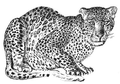 Мир Книги джунглей - i_009.png