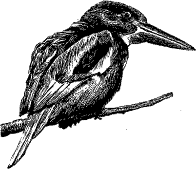 Мир Книги джунглей - i_012.png