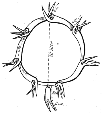 Справочная книга по собаководству - i_073.png