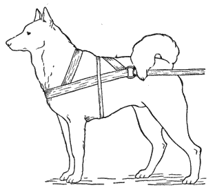 Справочная книга по собаководству - i_079.png