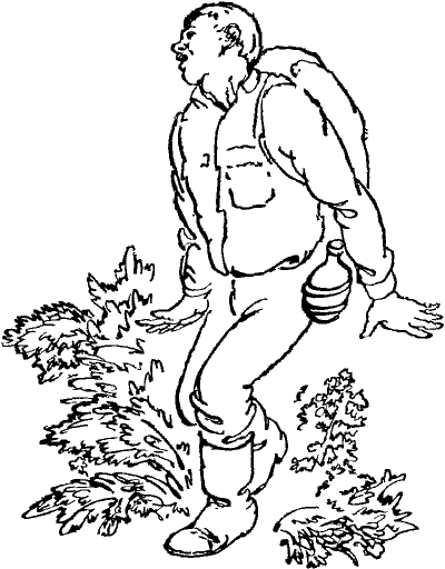 Мир приключений. 1973 г. выпуск 2 - doc2fb_image_03000009.png