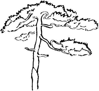 Мир приключений. 1973 г. выпуск 2 - doc2fb_image_0300000A.png