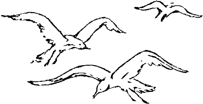 Мир приключений. 1973 г. выпуск 2 - doc2fb_image_03000012.png