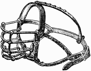 Болезни собак. Краткое руководство. Наружные болезни - i_004.png