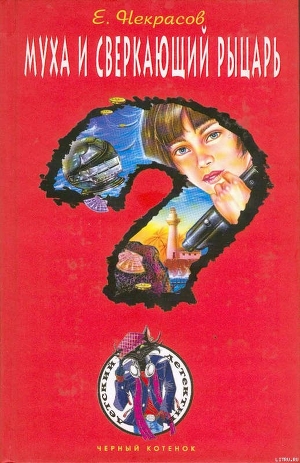 Книга Муха и сверкающий рыцарь (Муха – внучка резидента)