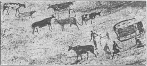 Загадки антропологии. - i_029.jpg