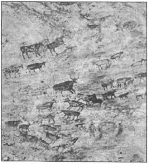 Загадки антропологии. - i_030.jpg