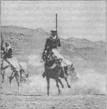 Загадки антропологии. - i_032.jpg