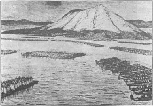 Загадки антропологии. - i_064.jpg