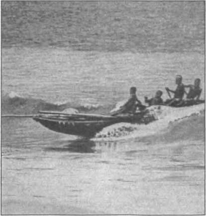 Загадки антропологии. - i_065.jpg