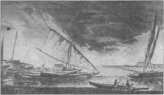 Загадки антропологии. - i_069.jpg