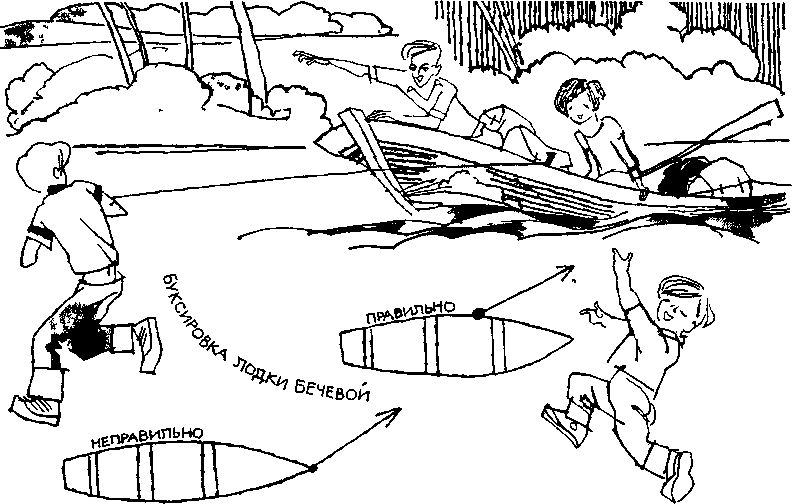 Дневник Толи Скворцова, путешественника и рыболова - i_013.png