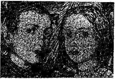 Аойя - rsl01002921844__003.png