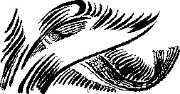 Аойя - rsl01002921844__023.png