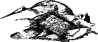 Аойя - rsl01002921844__048.png