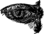 Аойя - rsl01002921844__082.png