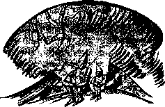 Аойя - rsl01002921844__085.png