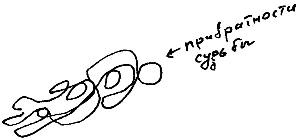 Кот (сборник) - i_095.png