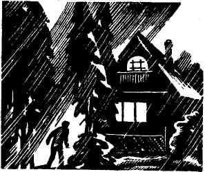 Ночь не наступит - img_18.jpeg