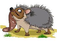 Бета-тестеры - цикл рассказов Призрака - Any2FbImgLoader45.jpg