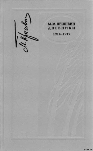 Книга Дневники 1914-1917