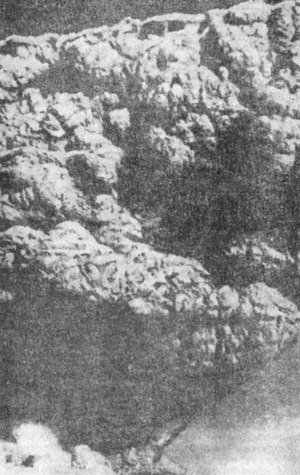 Великие катастрофы в истории Земли - i_019.jpg