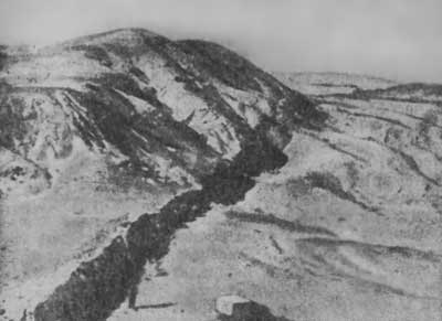 Великие катастрофы в истории Земли - i_025.jpg